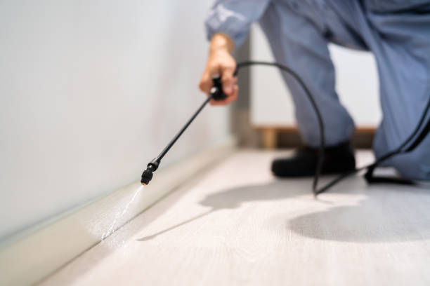 Licensed Termite Control service in Quincy, FL - Show Me Pest Control